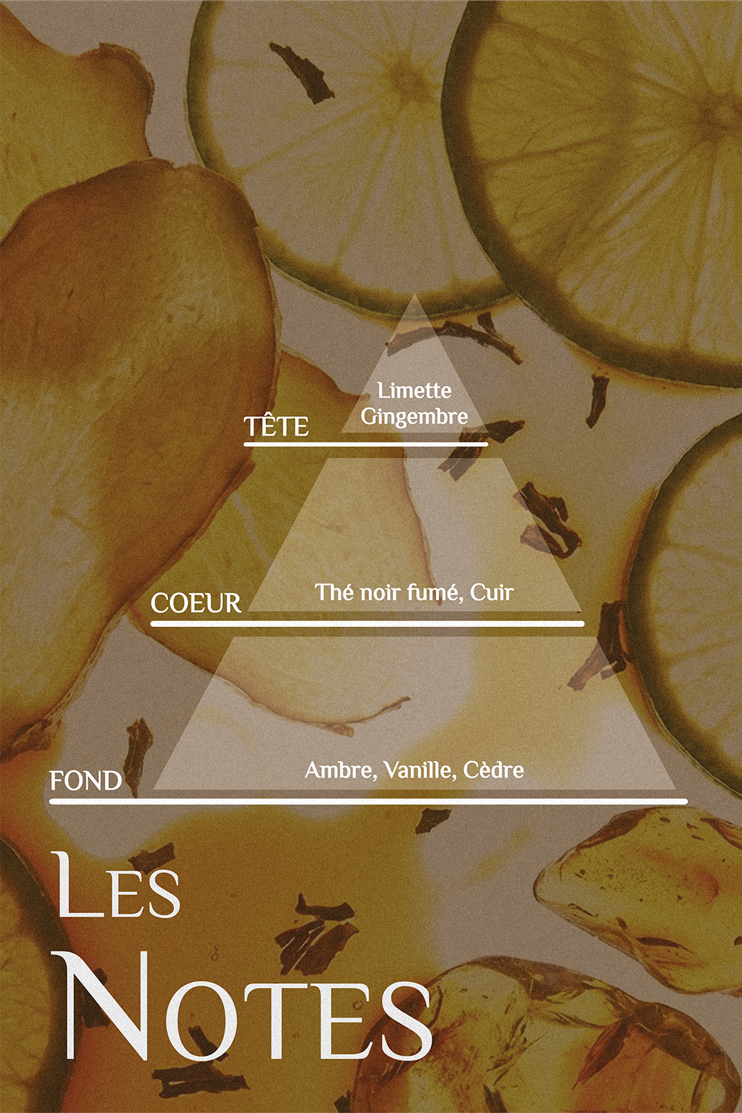 RECHARGE - Bougie THE LIBRARIAN 250 ml — notes olfactives et attributs