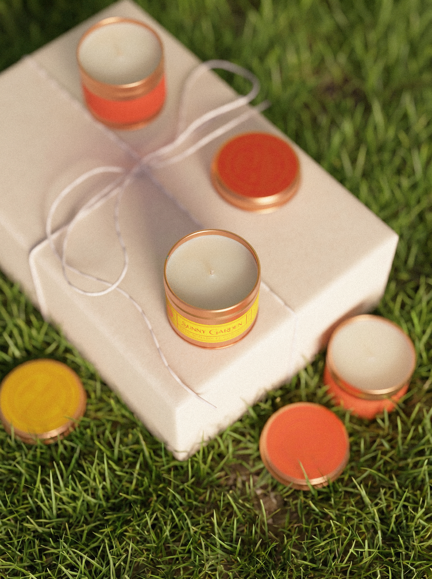 SPRING: The Season's Box