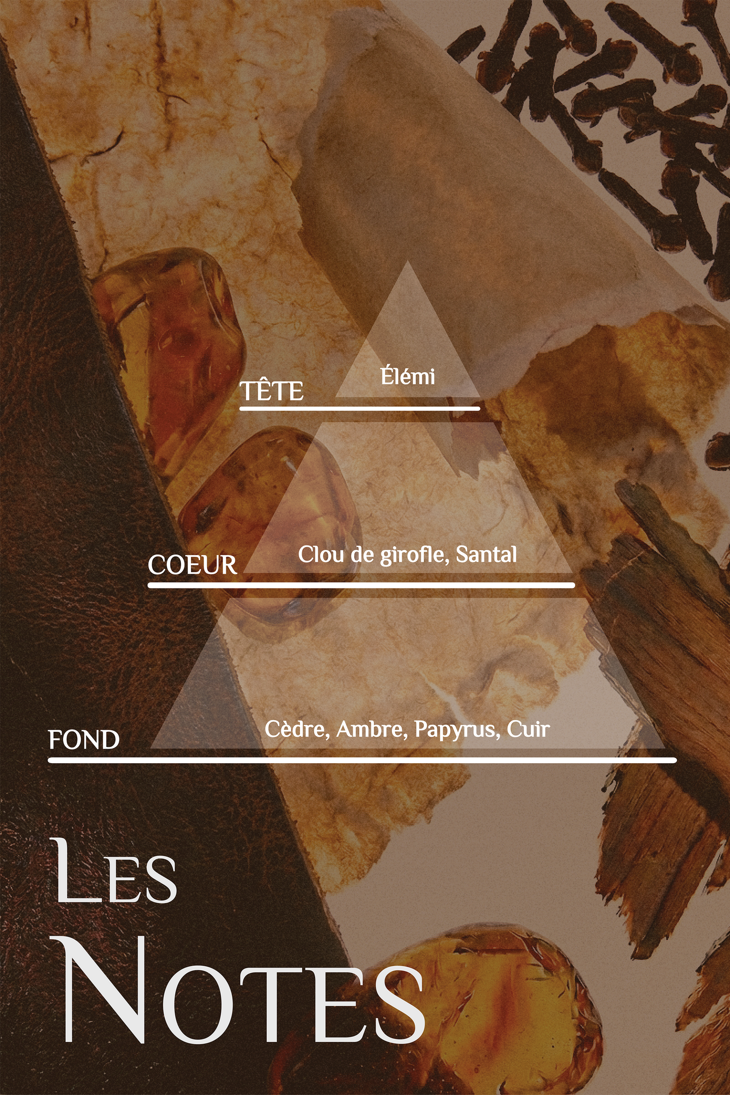 Bougie OLD BOOKS — notes olfactives et attributs