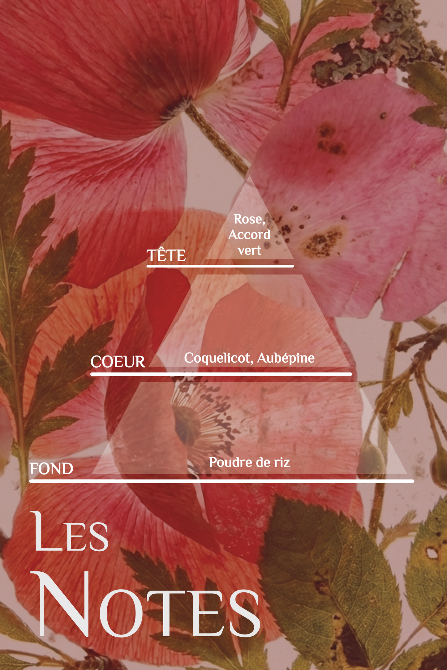 RECHARGE - Bougie PERSEPHONE 250 ml — notes olfactives et attributs