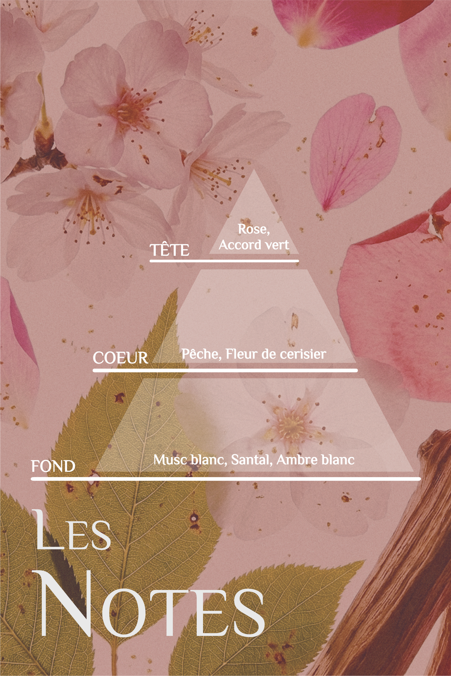 Bougie SAKURA — notes olfactives et attributs